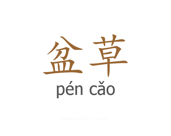 盆草