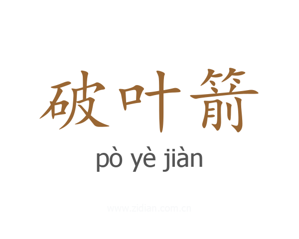 破叶箭
