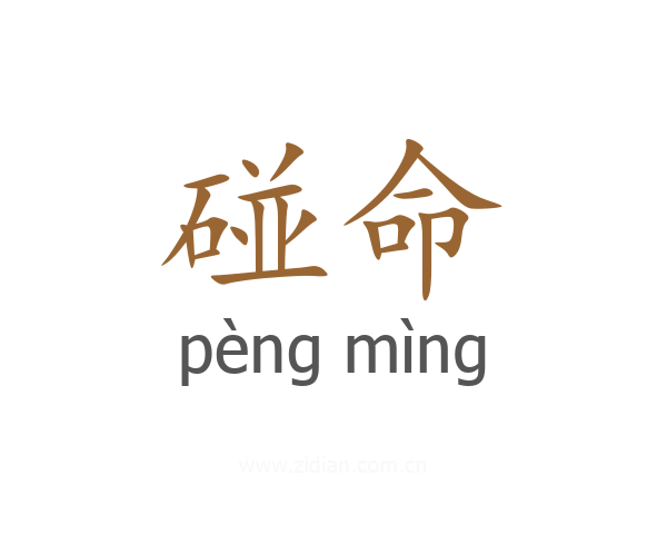 碰命