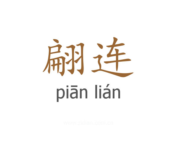 翩连