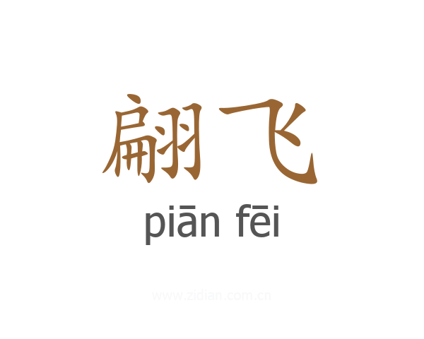 翩飞
