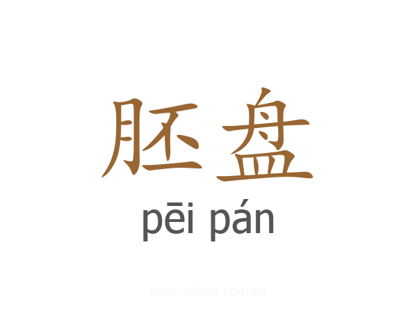 胚盘