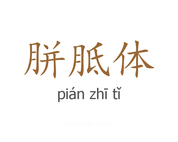 胼胝体
