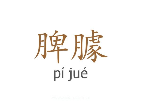 脾臄