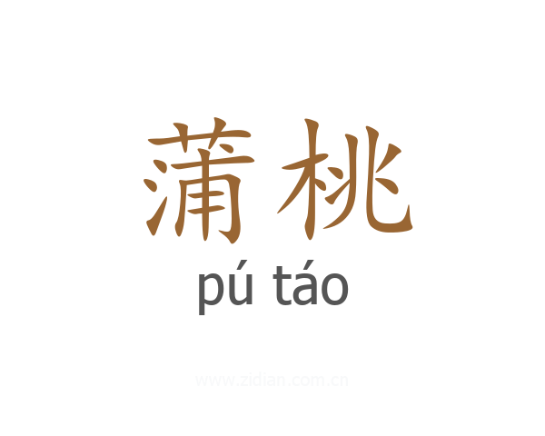 蒲桃