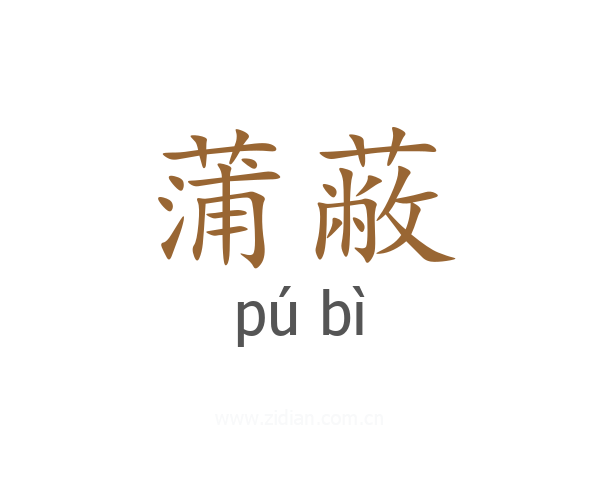 蒲蔽