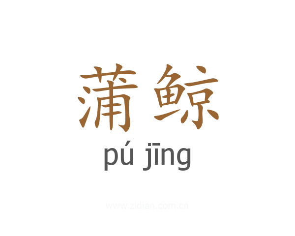 蒲鲸