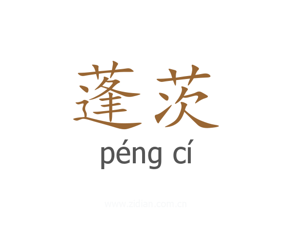 蓬茨