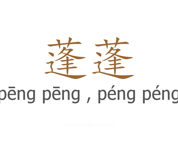 蓬蓬