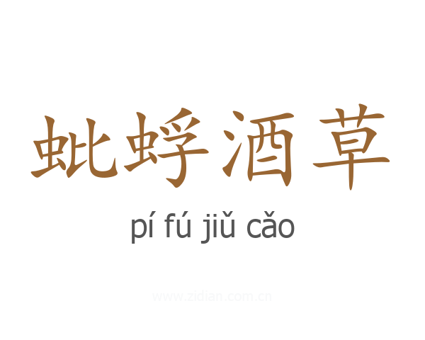 蚍蜉酒草