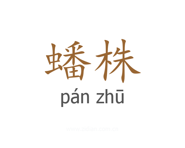 蟠株