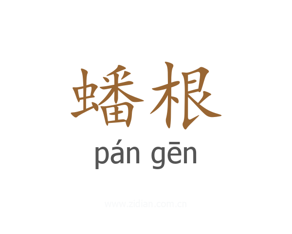 蟠根