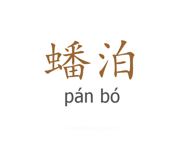 蟠泊