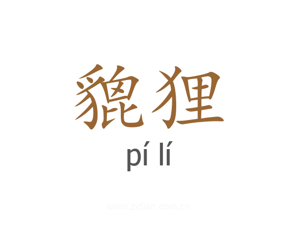 貔狸