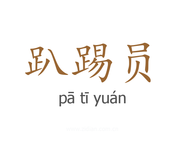 趴踢员