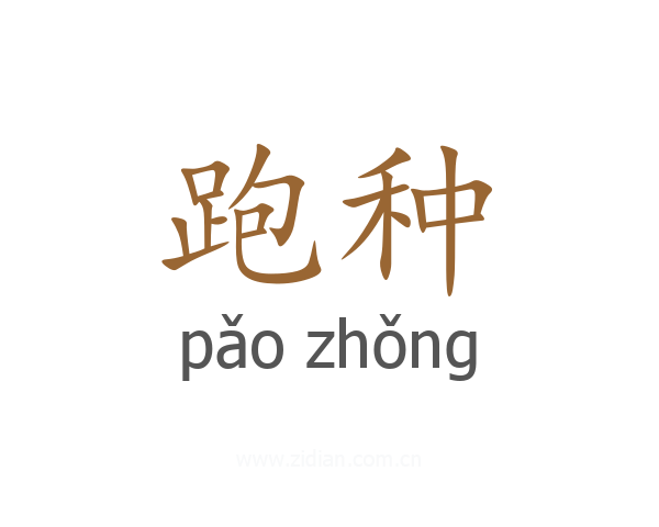 跑种