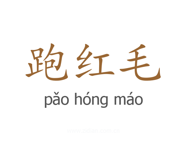 跑红毛