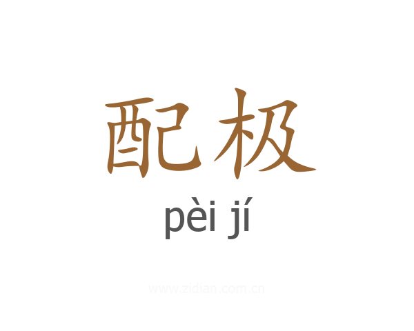 配极