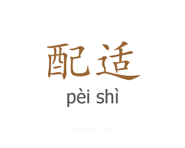 配适