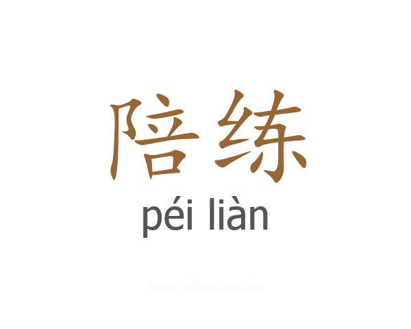 陪练