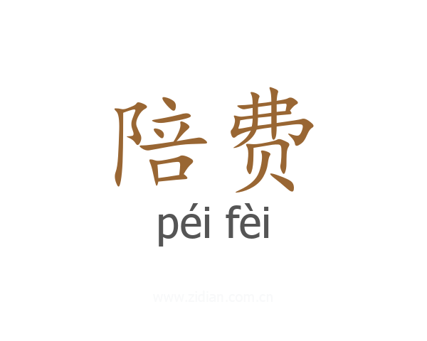 陪费