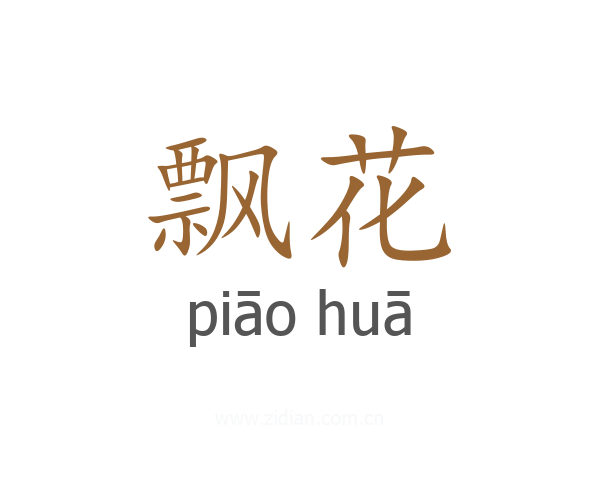 飘花