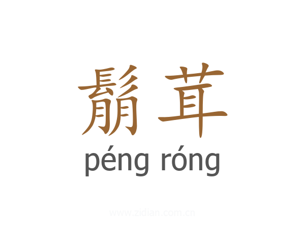 鬅茸