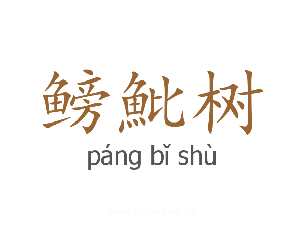 鳑魮树
