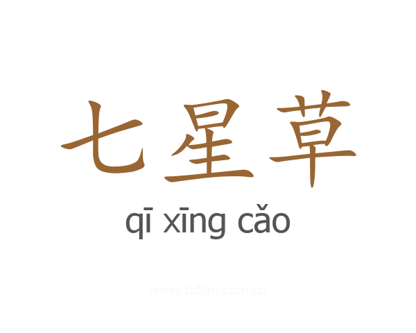 七星草