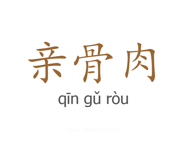 亲骨肉