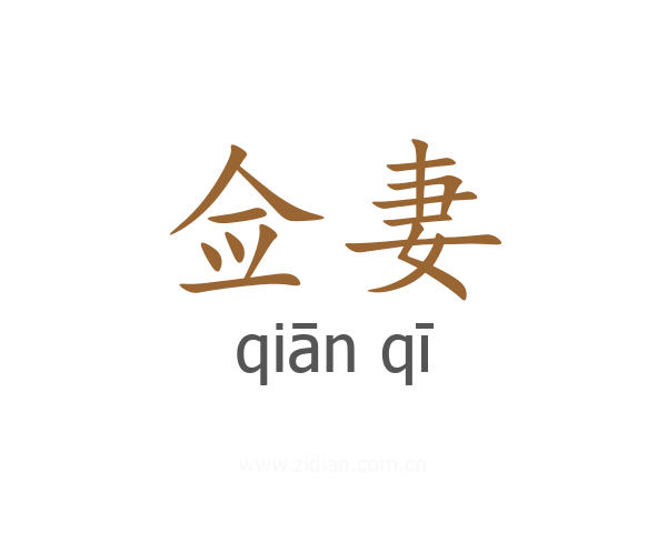 佥妻