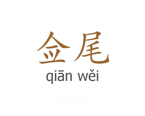 佥尾