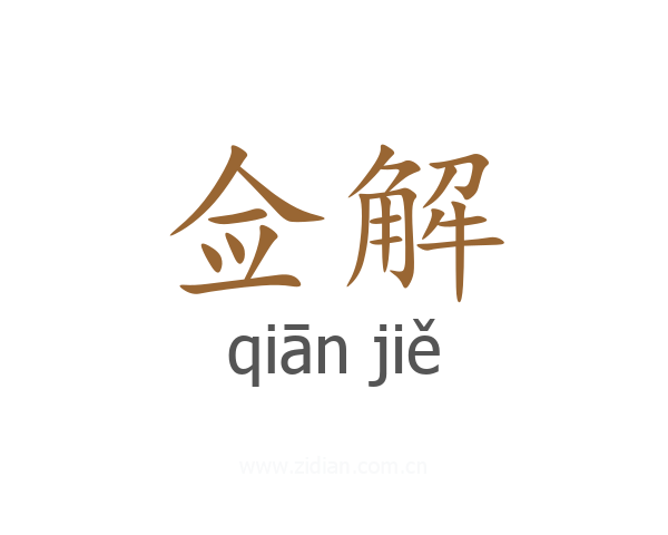 佥解