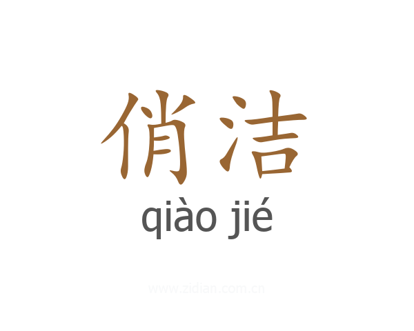 俏洁