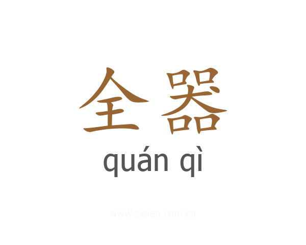 全器