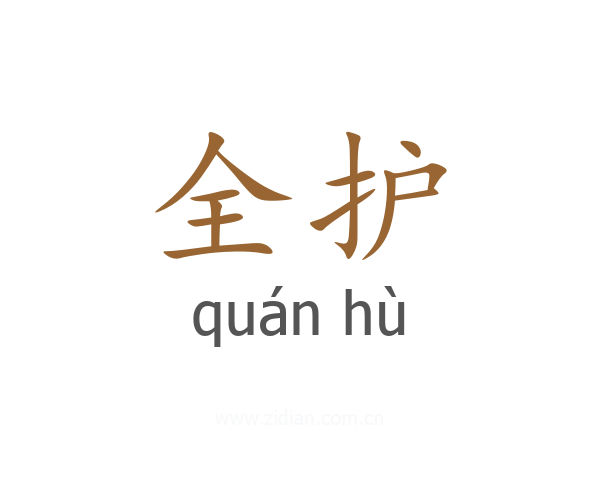 全护