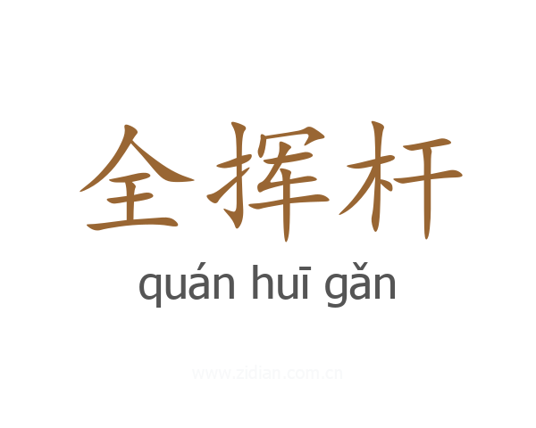 全挥杆