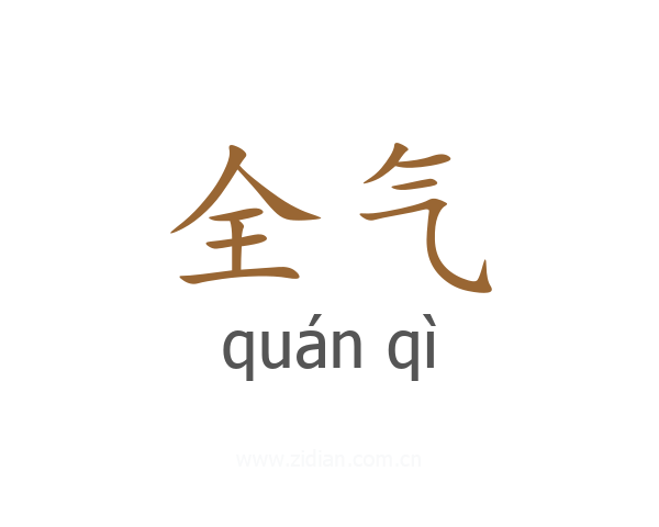 全气