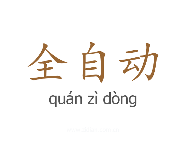 全自动