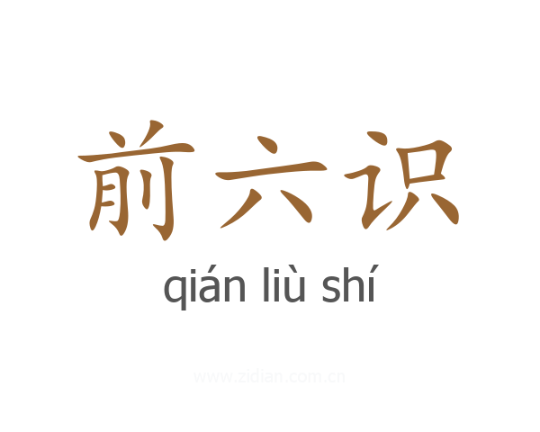 前六识