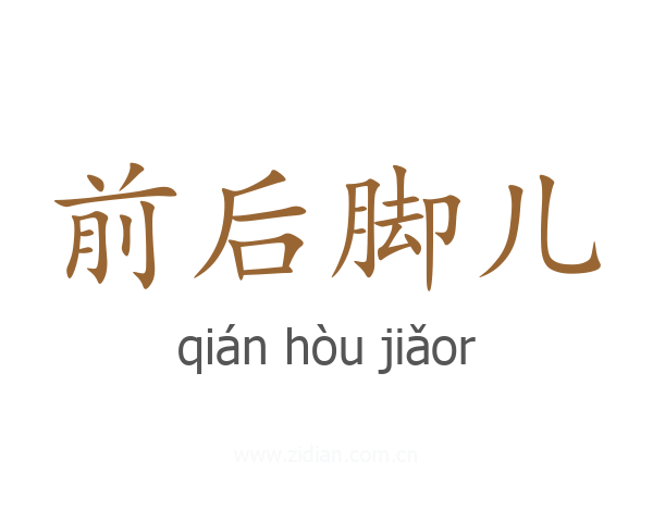前后脚儿