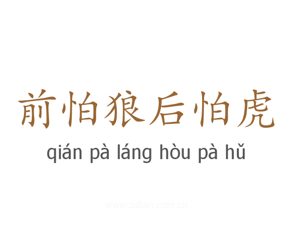 前怕狼后怕虎