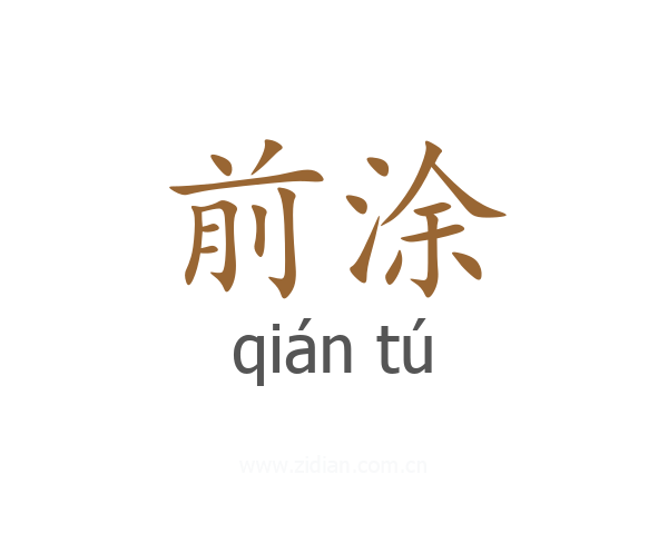 前涂