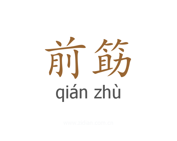 前筯