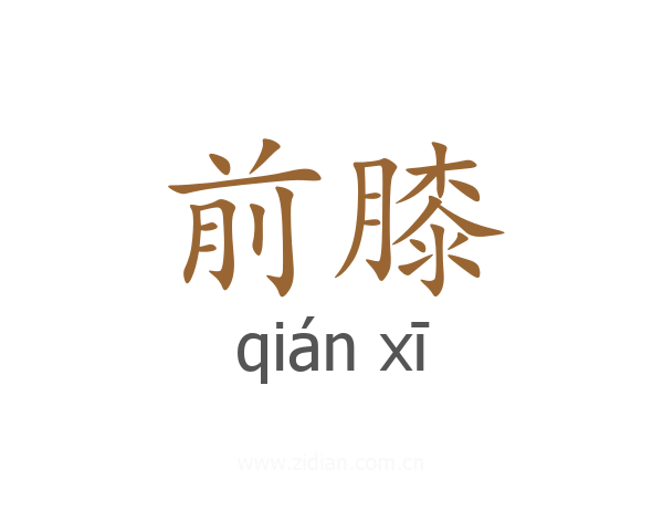 前膝