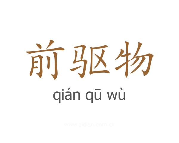 前驱物
