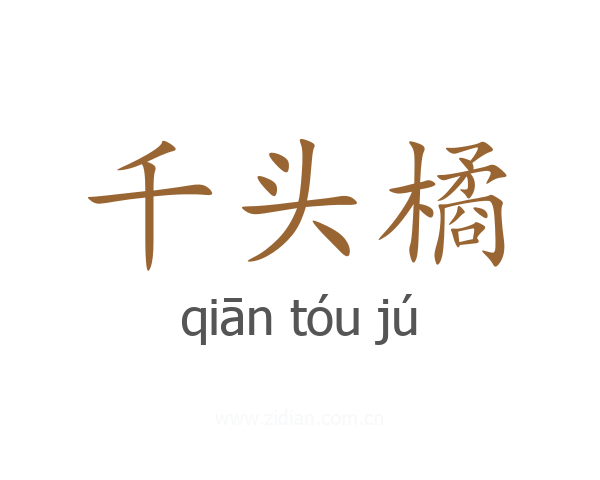 千头橘