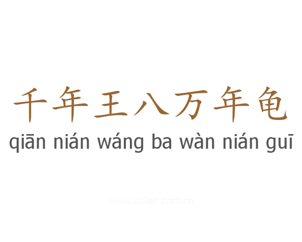 千年王八万年龟