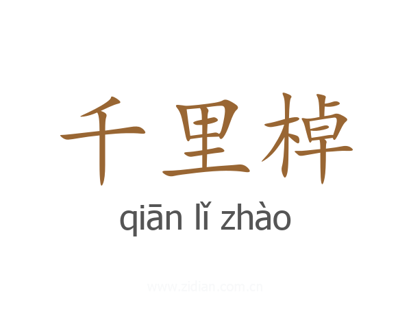 千里棹