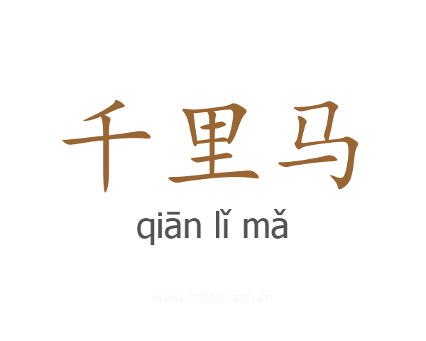 千里马